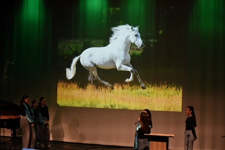 Kulturni praznik 2026 04g